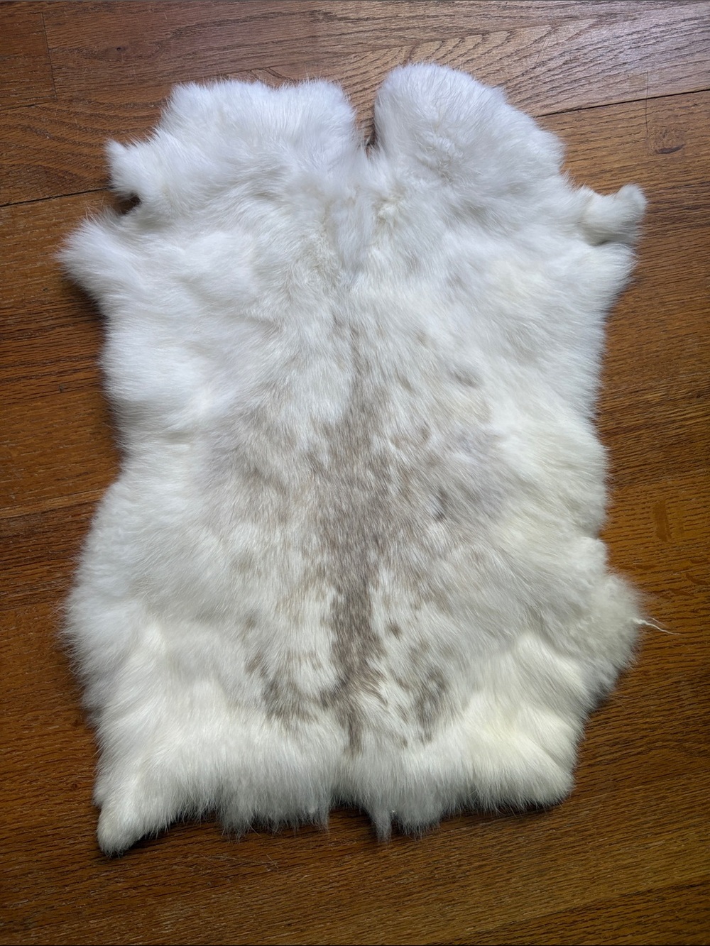 B0021 rabbit pelt crafts decor